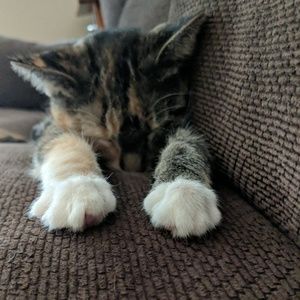 Meet your Posher, Melinda